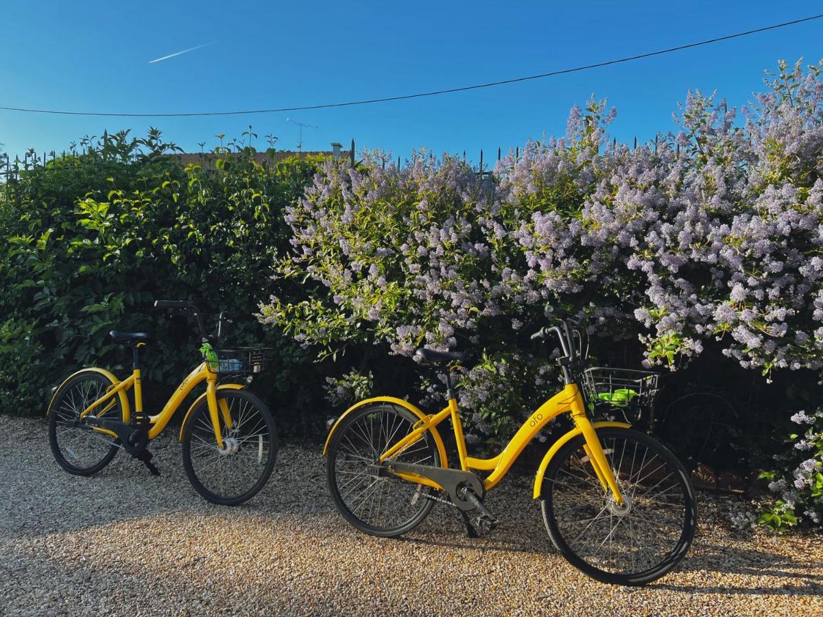 Montmirail  Demeure De La Garenne Bed & Breakfast エクステリア 写真