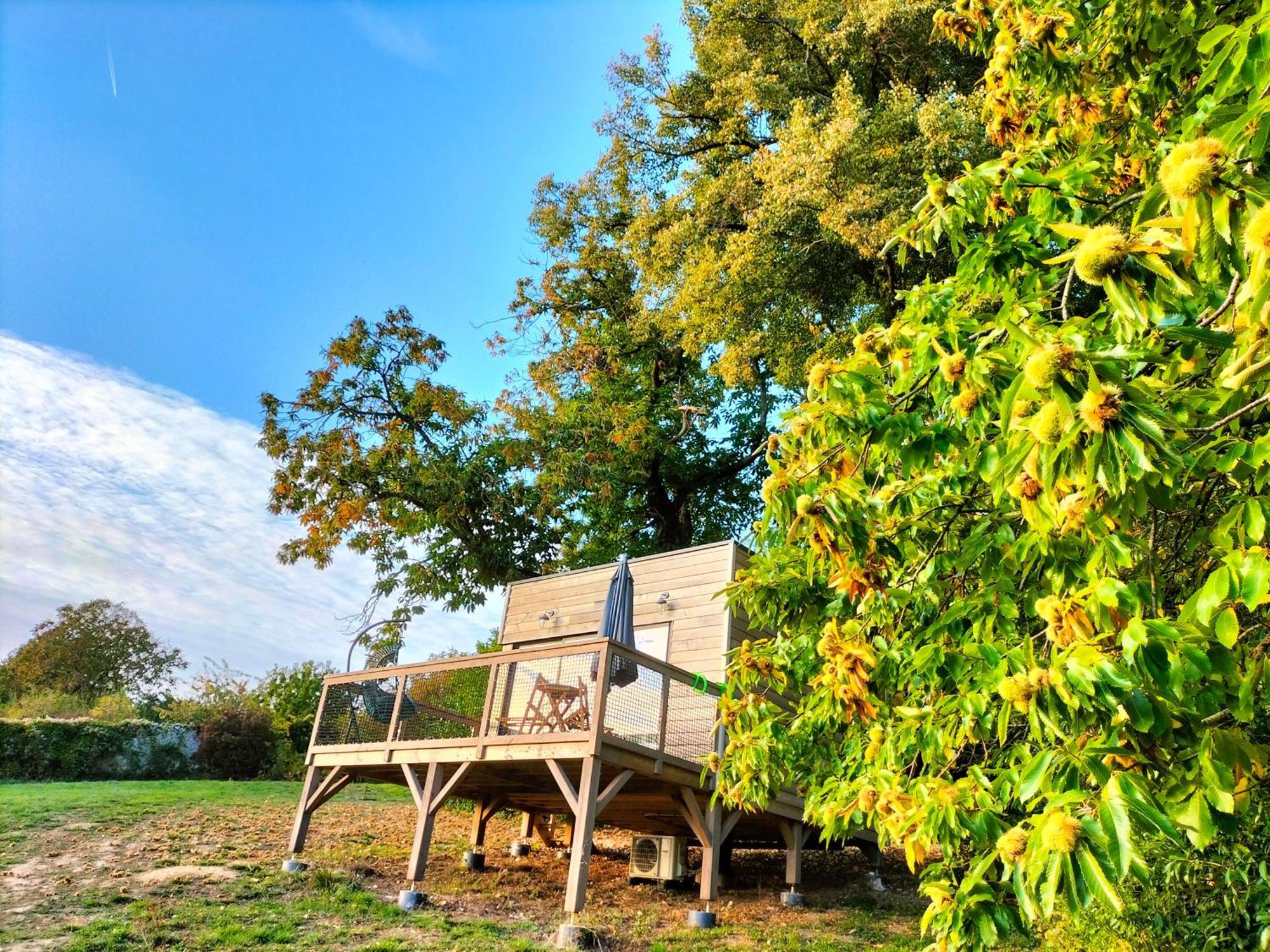 Montmirail  Demeure De La Garenne Bed & Breakfast エクステリア 写真