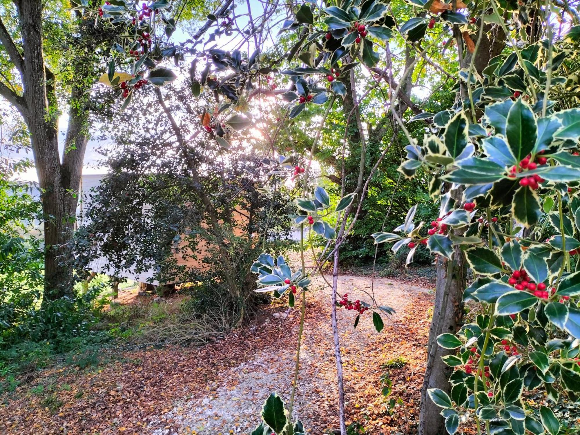 Montmirail  Demeure De La Garenne Bed & Breakfast エクステリア 写真