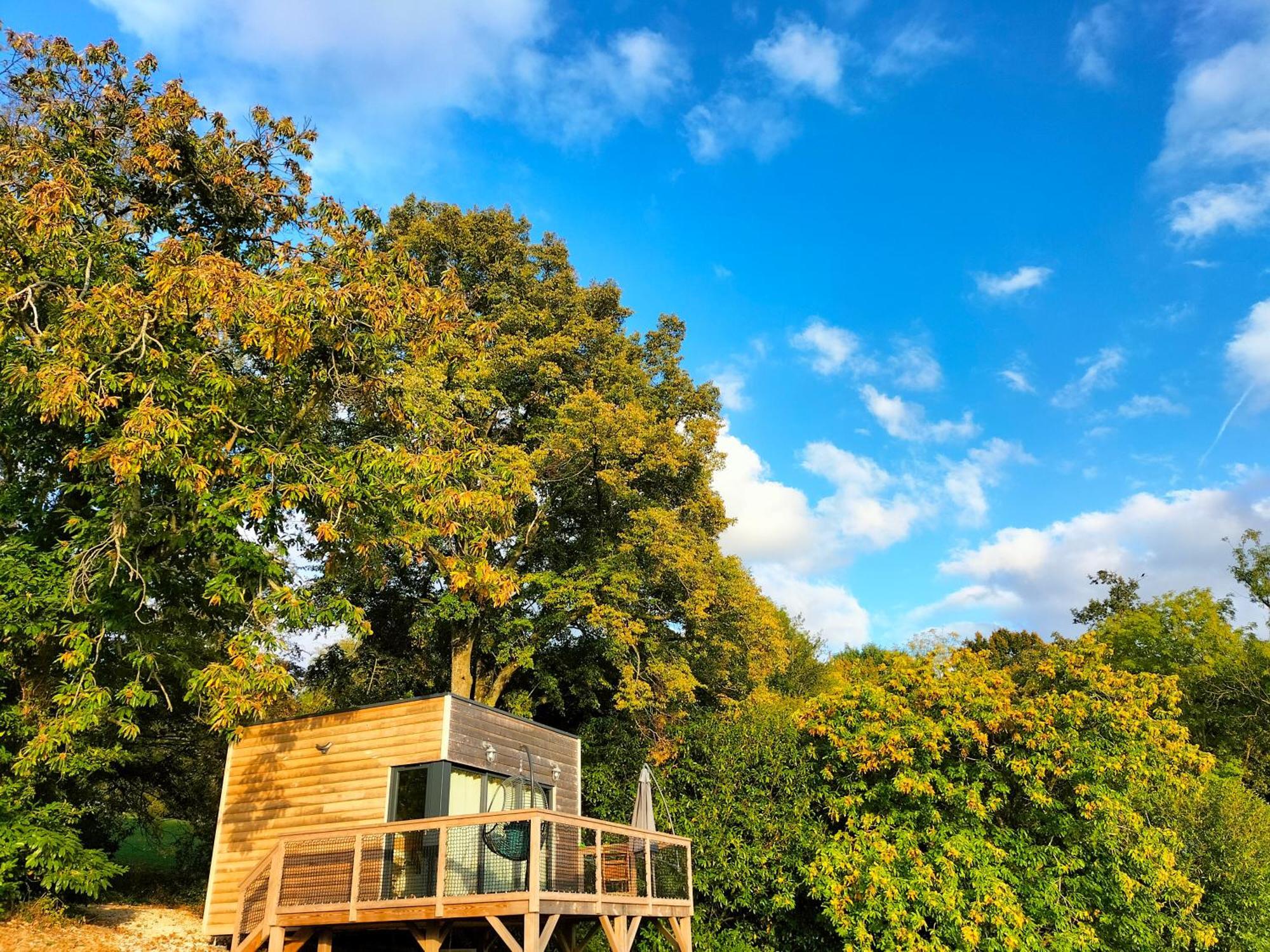 Montmirail  Demeure De La Garenne Bed & Breakfast エクステリア 写真