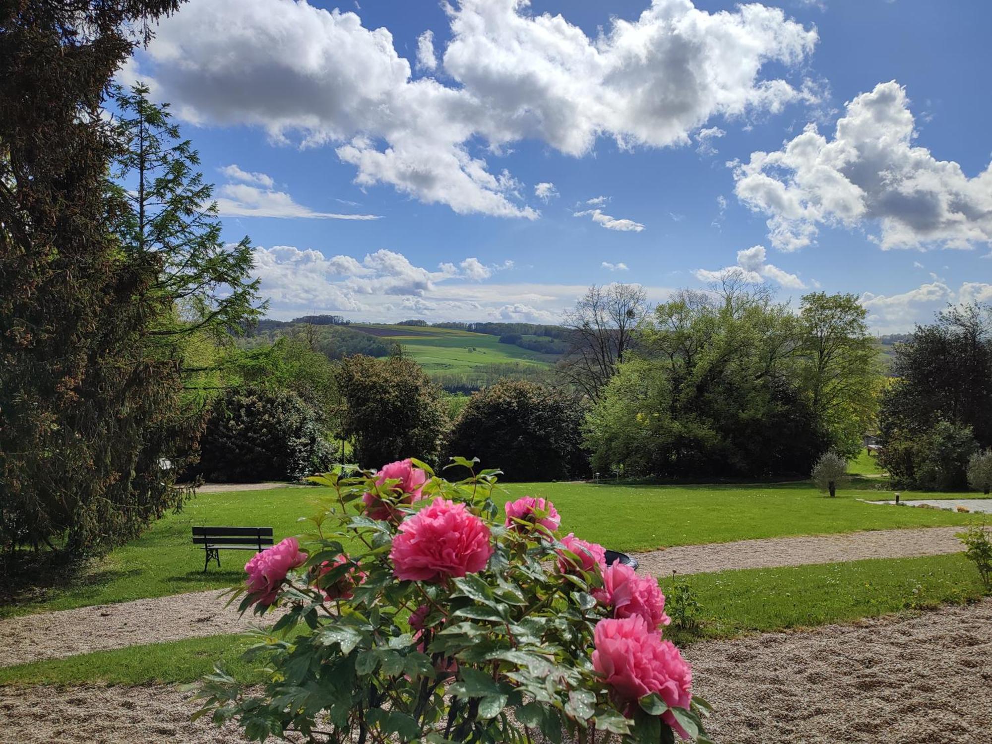 Montmirail  Demeure De La Garenne Bed & Breakfast エクステリア 写真
