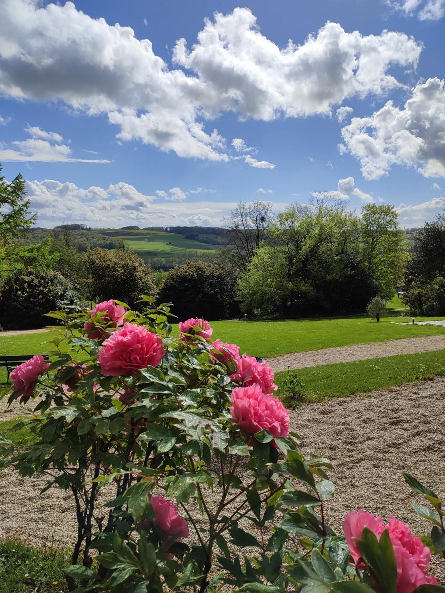 Montmirail  Demeure De La Garenne Bed & Breakfast エクステリア 写真