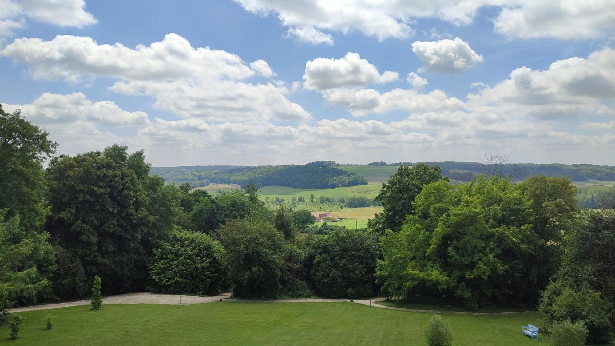 Montmirail  Demeure De La Garenne Bed & Breakfast エクステリア 写真